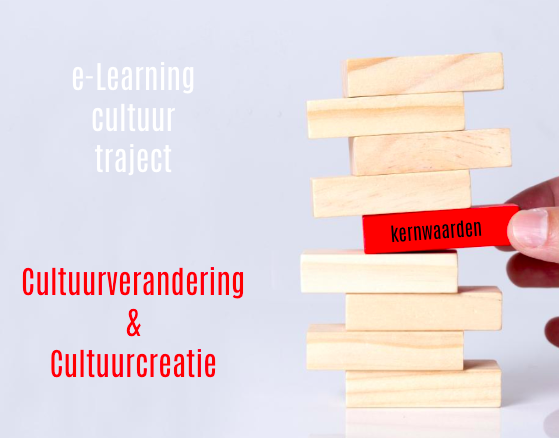 e-Learning voor cultuurverandering en cultuurcreatie